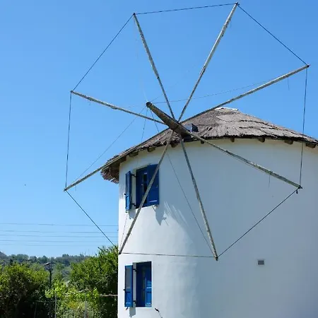 Daire Spyridoula On The