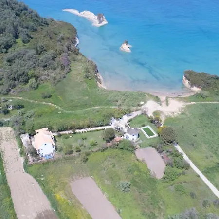 Spyridoula On The Daire *